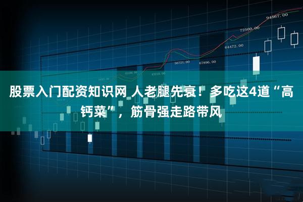 股票入门配资知识网 人老腿先衰！多吃这4道“高钙菜”，筋骨强走路带风